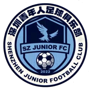 深圳青年人 vs 深圳新鹏城