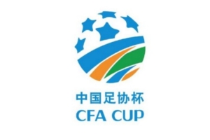 特殊身份球员出场标准依低级别联赛规程而定