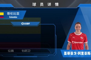 马竞旧将阿里亚斯集锦：赛场经验丰富 具备不俗的传中能力