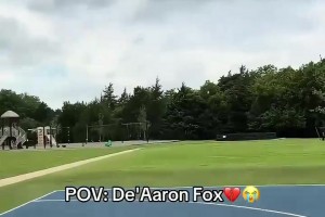 福克斯：你过分了啊？网友恶搞：总决赛的福克斯就像……
