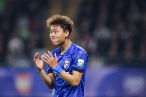 官方申花：金顺凯左侧第8、9肋骨骨折，已进行胸腔闭式引流术